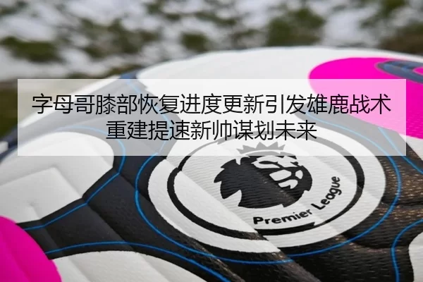 字母哥膝部恢复进度更新引发雄鹿战术重建提速新帅谋划未来