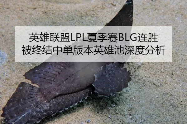 英雄联盟LPL夏季赛BLG连胜被终结中单版本英雄池深度分析