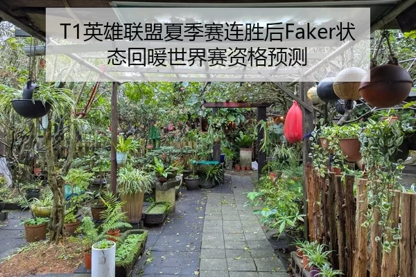 T1英雄联盟夏季赛连胜后Faker状态回暖世界赛资格预测